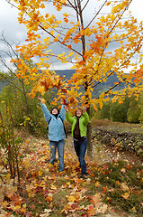 Image showing Autumn