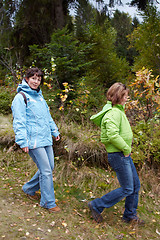 Image showing Autumnal walk