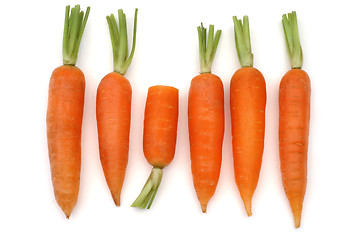 Image showing Carrots