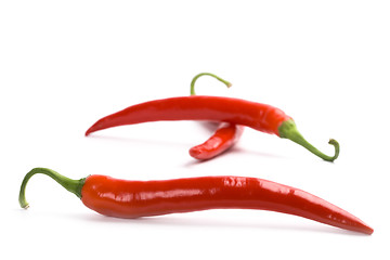 Image showing three red chili peppers