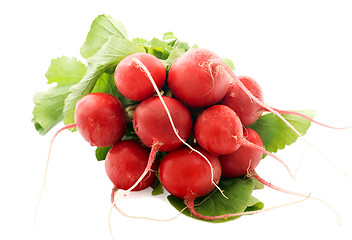 Image showing Fresh radishes