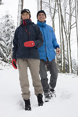 Image showing Mature couple walking in the snow