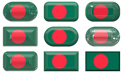 Image showing nine glass buttons of the Flag of Bangladesh