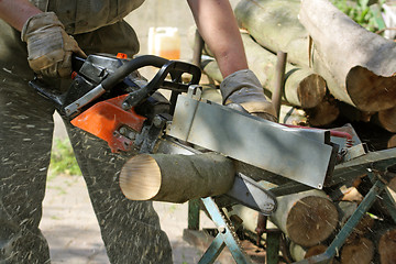 Image showing Sawing