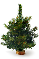 Image showing Christmas tree