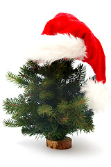 Image showing Christmas tree