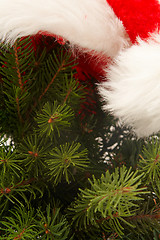 Image showing Christmas tree