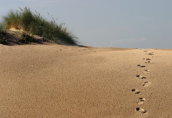 Image showing footsteps in sand