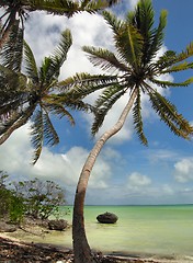 Image showing tropical beach scene