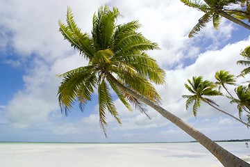 Image showing tropical beach