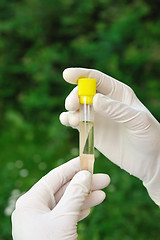 Image showing Hands holding test tube