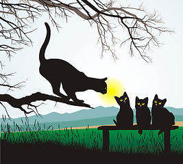 Image showing Cat school jumping