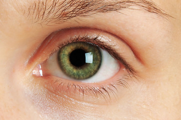 Image showing Eye