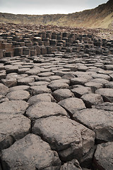 Image showing Giants Causeway