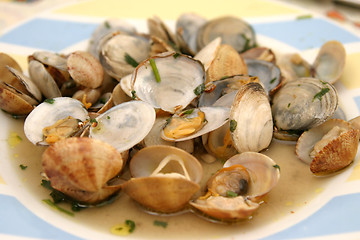 Image showing beautiful and tasty clams