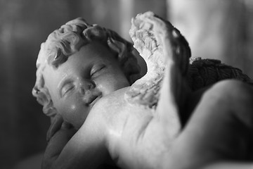 Image showing sleeping angel