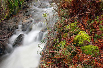 Image showing Flowing water the river in Portugal