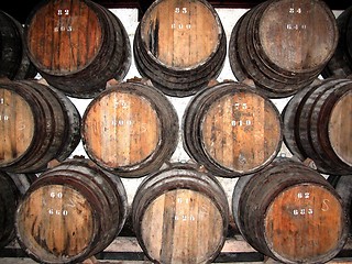 Image showing Barrels in winery cellar