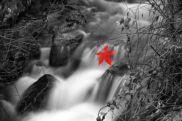 Image showing Flowing water the river in Portugal