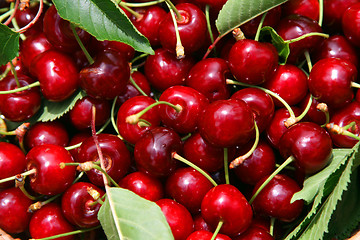 Image showing beautiful and tasty cherries