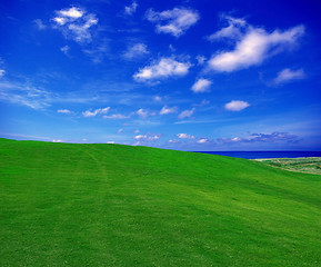 Image showing green field