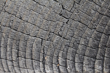 Image showing Weathered wood