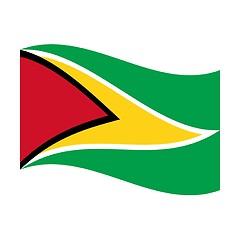 Image showing flag of guyana