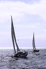 Image showing Sailing in a championship