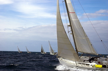 Image showing Sailing in a championship