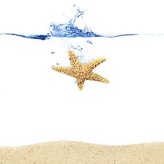 Image showing Starfish Splash