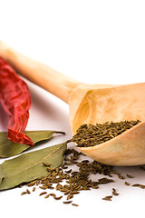 Image showing spices