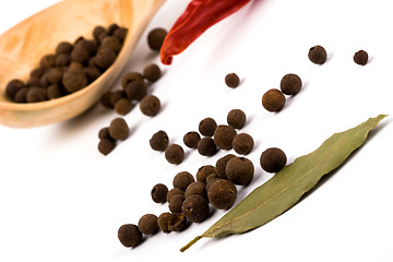 Image showing spices