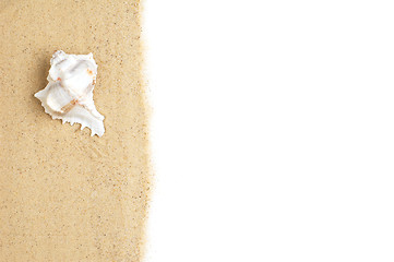 Image showing Beach Scene on White