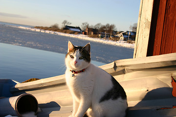 Image showing harbour in sweden