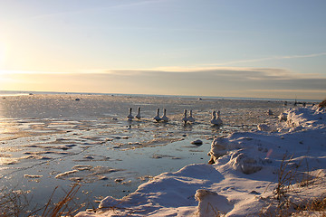 Image showing harbour in sweden