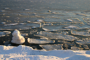 Image showing ice in harbour