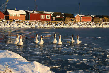 Image showing harbour in sweden