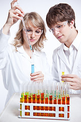 Image showing Working scientists