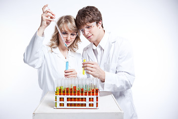 Image showing Working scientists