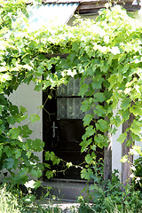 Image showing Door