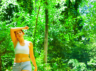 Image showing Woman Runner In The Woods