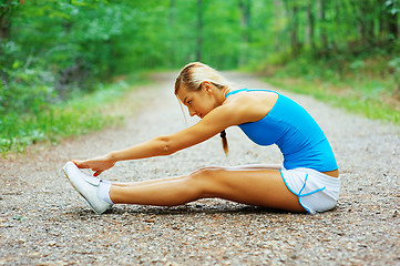 Image showing Forested Road Runner