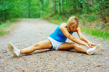 Image showing Forested Road Runner