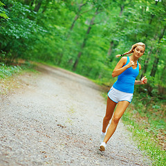 Image showing Forested Road Runner