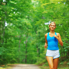 Image showing Forested Road Runner