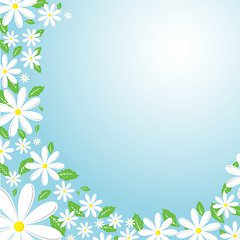 Image showing Daisy background
