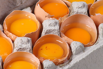 Image showing raw eggs