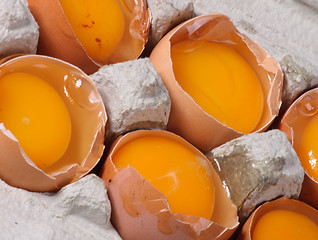 Image showing raw eggs 