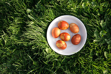 Image showing colored easter eggs