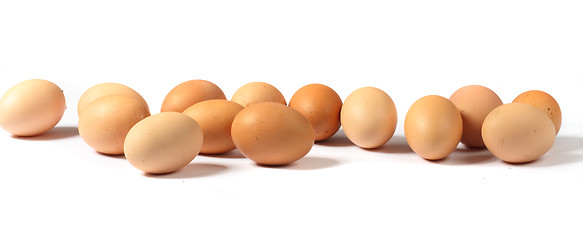 Image showing brown eggs